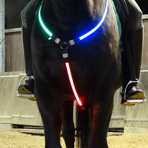 Rutis Horse Front Light,LED Vorderzeug per USB aufladbar